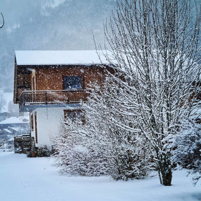 La neige est arrivée à la Ranche!#chaletdesfleurs #apartmentlaranche #snowisfalling #chaletholiday #montriond #morzine #skiholiday