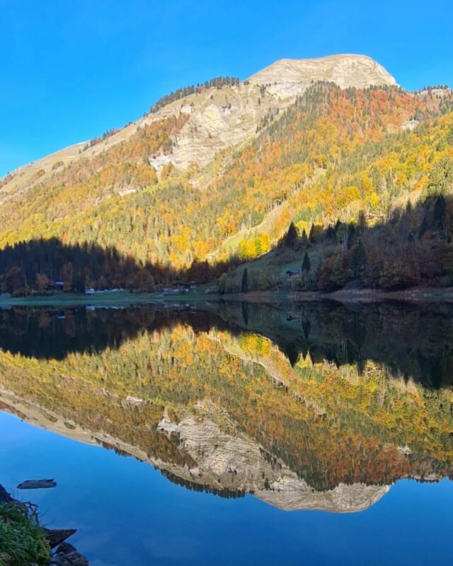 🇬🇧 Perfect mirror lake🇫🇷 Lac miroir#chaletdesfleurs #mirrorlake #autumnvibes #montriond #chaletholiday #vacancesenmontagne #portesdusoleil #lakesandmountains
